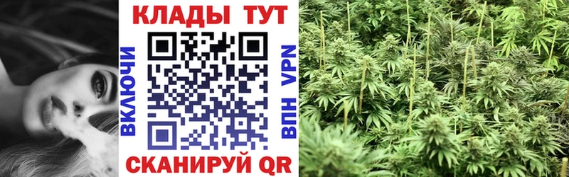 Купить наркоту Троицк ОМГ ОМГ онион  Бошки Шишки  Меф мяу мяу  ГАШИШ 